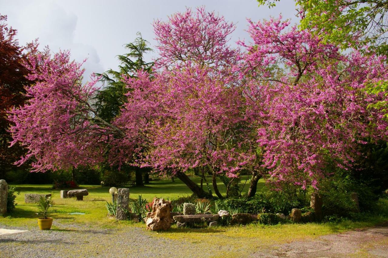 Bed and Breakfast Domaine Les Grandes Roches Trégunc Zewnętrze zdjęcie