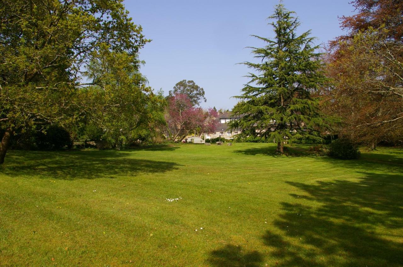 Bed and Breakfast Domaine Les Grandes Roches Trégunc Zewnętrze zdjęcie